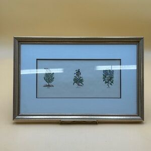 Botanical gardening flower art matted and framed, Fraxinella, green